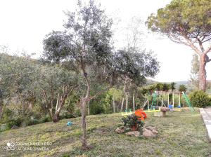 A garden outside DIMORA IL CAMALEONTE apartments in nature with pool