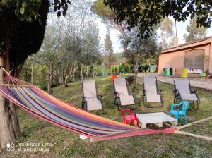 A garden outside DIMORA IL CAMALEONTE apartments in nature with pool