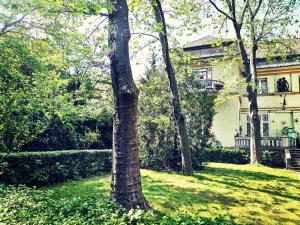 a tree in the grass in front of a house at Flat in historic villa with your own private garden, near City Park in Budapest