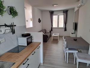 Kuchyň nebo kuchyňský kout v ubytování Apartman Alberta
