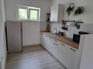 Kuchyň nebo kuchyňský kout v ubytování Apartman Alberta