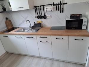 Kuchyň nebo kuchyňský kout v ubytování Apartman Alberta