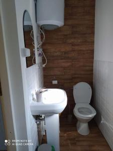 a small bathroom with a toilet and a sink at Agroturystyka Giże - domek letni in Ełk