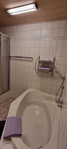 Koupelna v ubytování Ferienwohnung Vido - Nordhalben