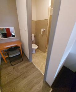a bathroom with a toilet and a sink and a mirror at Neiras Apartments Blagaj in Blagaj