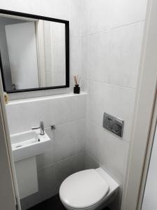 a bathroom with a toilet and a sink and a mirror at Industrial Apartment in Belval the University City in Esch-sur-Alzette