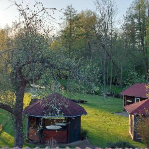 a small cabin in a yard with a tree at Spreewaldpension Glatz in Müschen