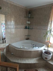 Apartament Suwalski Zakątek في سووالكي: حوض استحمام في الحمام مع نبات الفخار