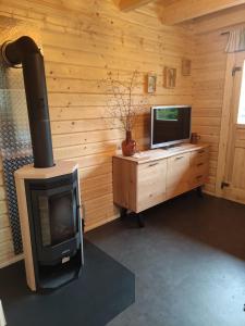 a living room with a fireplace and a television at Ferienhaus Birkholz Harz in Altenrode