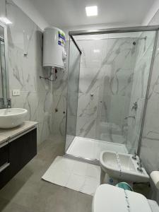 La salle de bains est pourvue d'une douche, de toilettes et d'un lavabo. dans l'établissement Regia Apartamentos Villa Sarita, à Posadas
