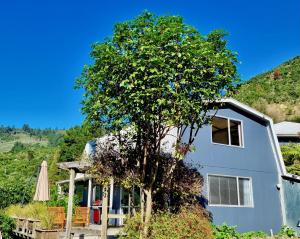 niebieski dom z drzewem przed nim w obiekcie Pukenui Paradise - Havelock Holiday Home w mieście Havelock
