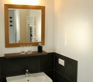 a bathroom with a sink and a mirror at The Lodge Bad Harzburg in Bad Harzburg