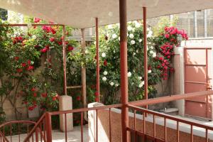 einen Balkon mit roten und weißen Blumen an der Wand in der Unterkunft Styopa Hotel in Yerevan