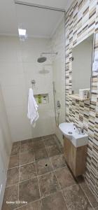 a bathroom with a sink and a shower and a mirror at Ekonomic Apartmani in Golubovci