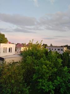 Aussicht vom Dach unseres Hauses in der Unterkunft la madriguera in Raszyn