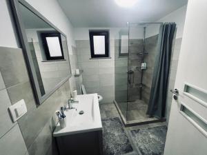 a bathroom with a sink and a shower at ViiLa TO in Bertea