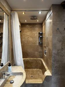 a bathroom with a shower and a sink at Spacious apartment with shared jacuzzi/private terrace in Budapest