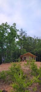 ein Haus mitten auf einem Feld mit Bäumen in der Unterkunft Mountain Tent Beautiful Tranquil Inspiring Tent 2 in Lenoir