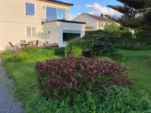 Zahrada ubytování Lys og trivelig leilighet i Larvik