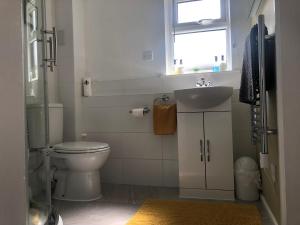 a bathroom with a toilet and a sink and a window at Little Park Holiday Homes Self Catering Cottages 1 & 2 bedrooms available close to Tutbury Castle in Tutbury