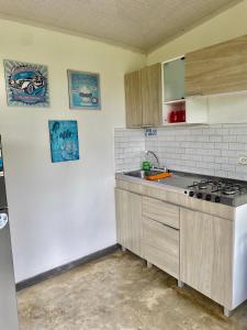 a kitchen with a sink and a stove top oven at Cabaña Tierra Verde eje Cafetero in Manizales