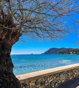 ein Baum, der neben einem Wasserkörper sitzt in der Unterkunft Grand appart plein sud in La Seyne-sur-Mer