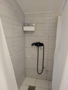 ein Bad mit Dusche und Duschvorhang in der Unterkunft Apartment By the River in Niš
