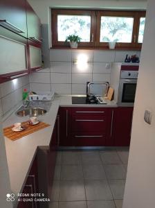 a kitchen with a sink and a stove top oven at Apartman Asja in Visoko