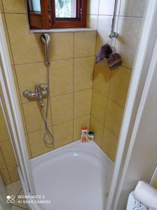a shower in a bathroom with a tub at Apartman Asja in Visoko