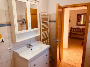 a bathroom with a sink and a mirror at Dat-Klinkerhus in Glowe +74 photos