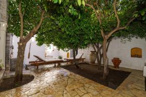 A garden outside LIVIN Hydra Garden Suite