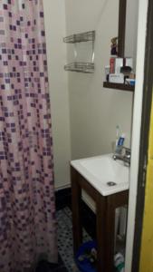 a bathroom with a sink and a shower curtain at Bienvenidos al Sur in Buenos Aires