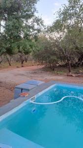 a large blue swimming pool with trees in the background at Nanisto Bush Lodge in Marloth Park