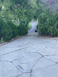 an empty road with a blue trash can on it at Modern Apartment w/ Private Deck & BEAUTIFUL VIEWS in Topanga