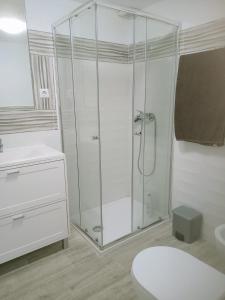 a white bathroom with a shower and a toilet at Willy Fogg in Pedrosa del Rey