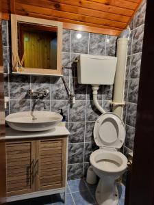 a bathroom with a toilet and a sink at Apartman Gavro in Bajina Bašta