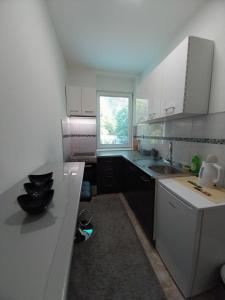Cucina o angolo cottura di Apartmani Sofronic Loznica 1