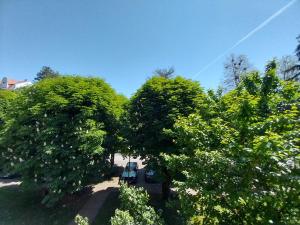 Giardino di Apartmani Sofronic Loznica 1
