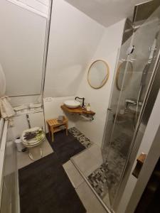 uma casa de banho com um chuveiro e um lavatório. em Ferienhaus Elbeflair em Belgern