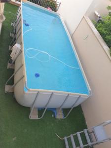 Stolní tenis v ubytování רותם רויאל nebo okolí