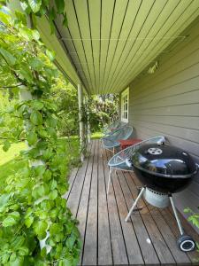 A true nature pearl in idyllic surroundings but close to the city外面的花园
