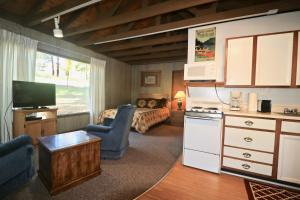 a living room with a kitchen and a bedroom at JW Vallecito in Vallecito