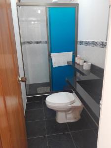 a bathroom with a toilet and a shower at Hermoso Alojamiento in Choachí