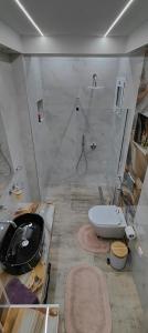 a bathroom with a shower and a sink and a toilet at Cozy Garden View Apartment in Paralia in Paralia Katerinis