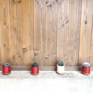 four cactus pots sitting in front of a wooden fence at La casa dei pesci dipinti in Castelluzzo