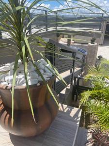 a plant in a large pot sitting on a deck at Serene & quiet 2- Bedroom Cottage Statelodge area in Shimwansa