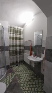 a bathroom with a sink and a shower at Ubytování u Machalů in Leskovec nad Moravicí