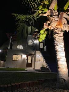 Billede fra billedgalleriet på Los Amores Apartments C i #N/A