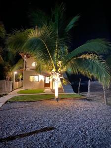 Pérula的住宿－Los Amores Apartments C，夜晚在房子前面的棕榈树