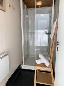 ein Bad mit einer Dusche mit einer Duschkabine aus Glas in der Unterkunft The Blue Cabin in Tyfta